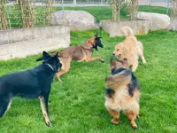 HDZ Hundezentrum - Klicken Sie, um das Bild 10 in einer Lightbox vergrössert darzustellen