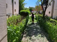 Tobler Gebäude und Gartenunterhalt GmbH