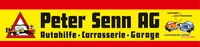 Peter Senn AG-Logo