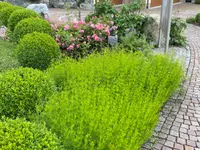 Blattert Garten- und Rasenpflege GmbH