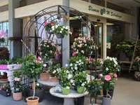 Blumen Eichenberger Horgen