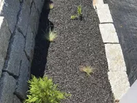 VERTUOSE Parcs et Jardins Sàrl