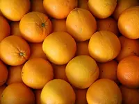 Marché Ciboulette - Magasin