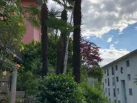 Almeida Giardini